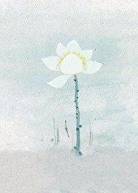 穿成美強慘的白蓮師尊