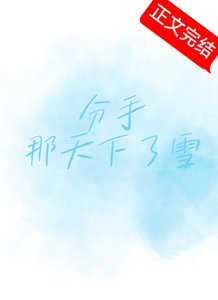 分手那天下了雪